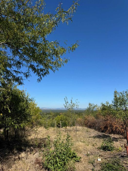 Teren 4.280 mp Valea Călugărească – Drumul Vinului