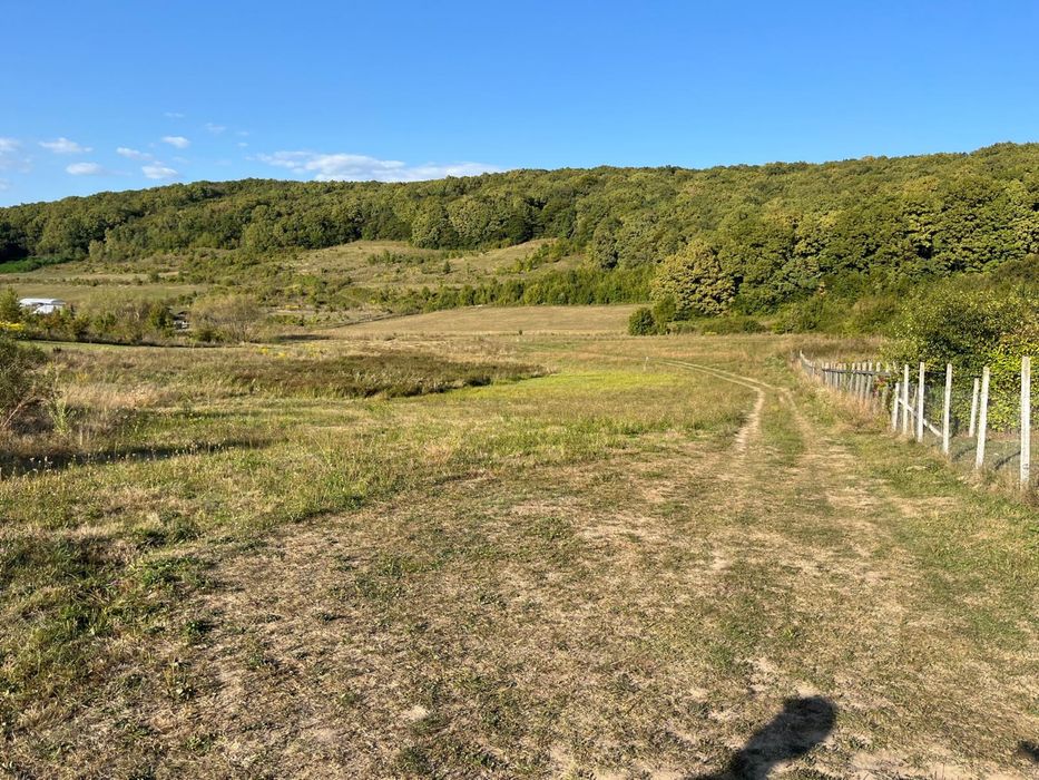 Teren extravilan 65 de ari in Bozeni