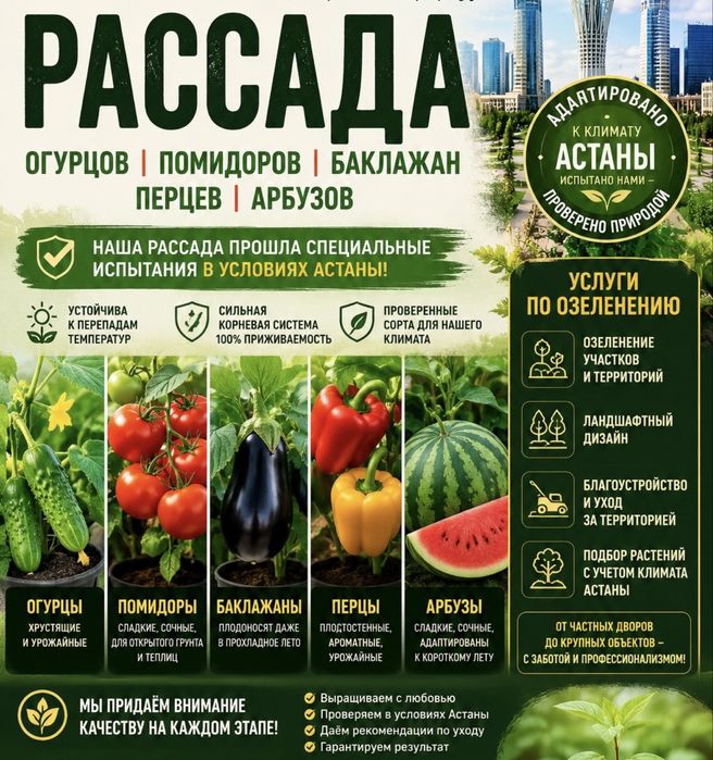 Рассада с шикарной корневой! Сильные!