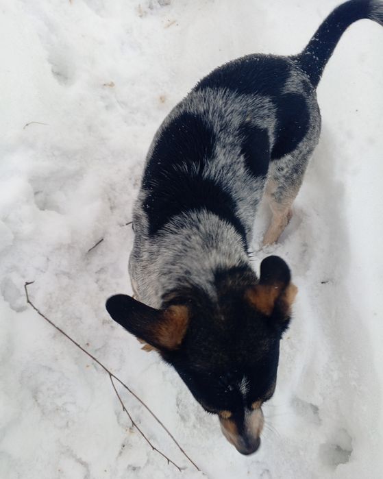 Маленькая бусинка