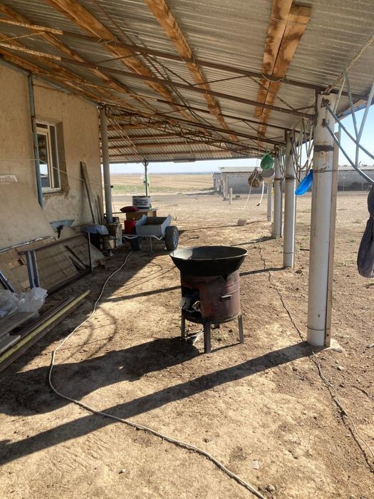 Қора сатылады фазенда