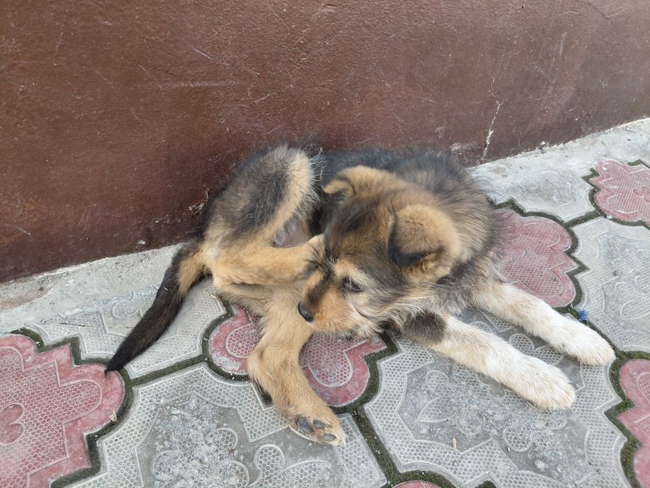Званок мальчик пальчик