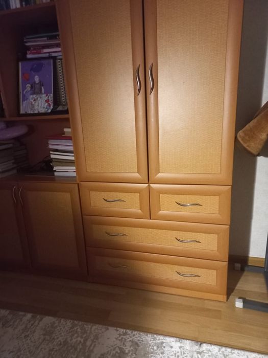 Шкаф для одежды и книг