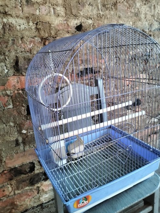 Клетка для попугая