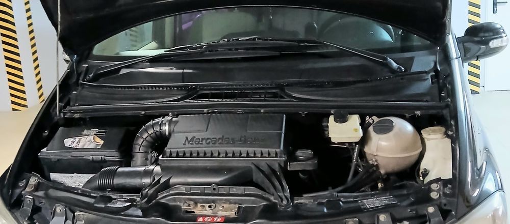 Mercedes Viano URGENT