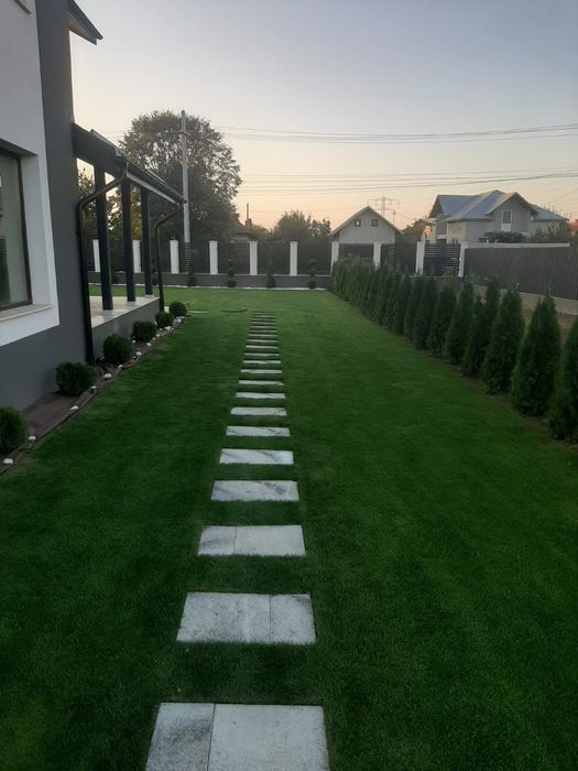 Amenajări grădini de la A la Z Gazon rulou plante ornamentale