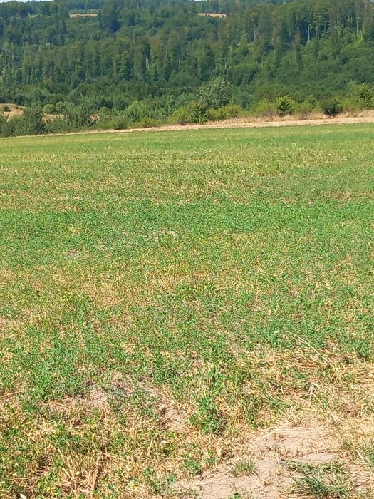 Teren de vânzare Ilisesti  în apropierea căminului de bătrâni