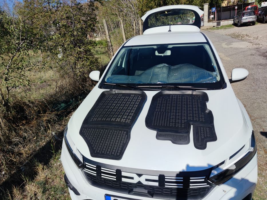 Гумени стелки за Дачия Сандеро II