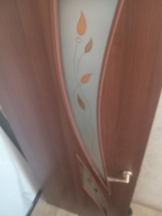 Дверь за 5000 тенге с косяков вместе