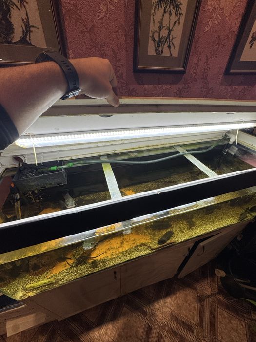 Аквариум 320 литров с рыбками
