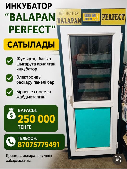Инкубатор для 528 штук