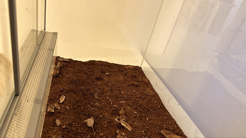 Terrarium diversa 60x30x30 – ideal pentru gecko, șarpe,