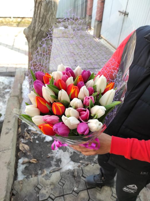 Продаем тюльпаны оптом и в розницу