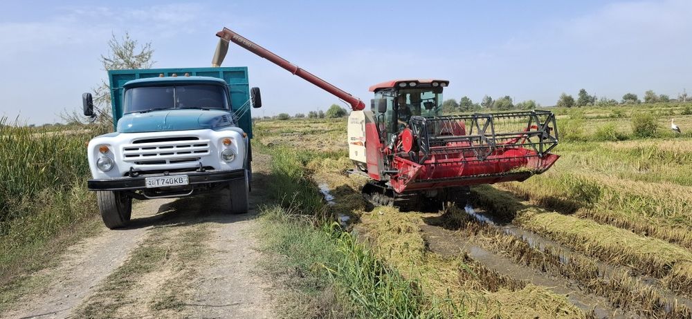Oʻzimga mingani tayorlaganman