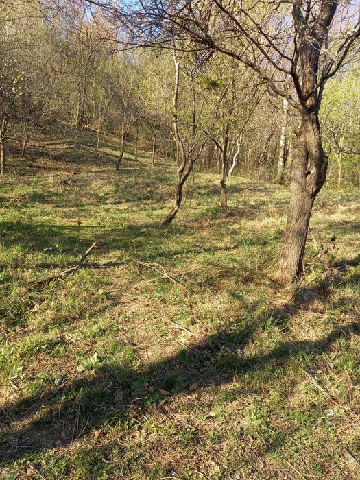 Oportunitate! Teren de vanzare