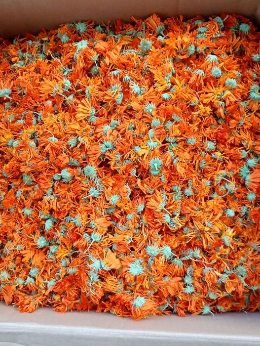 Flori de galbenele
