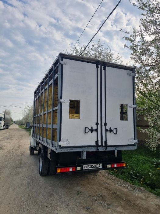 Gazel biznes sotiladi