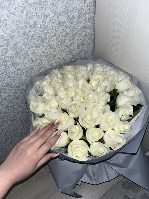 белые розы свежые