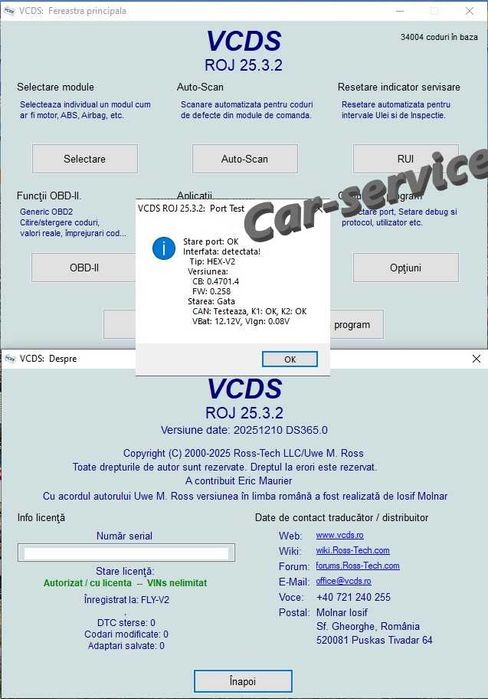 Vagcom Hex V2, ARM STM32F429, VCDS 25.3.2 Engleza Romana, updatabila