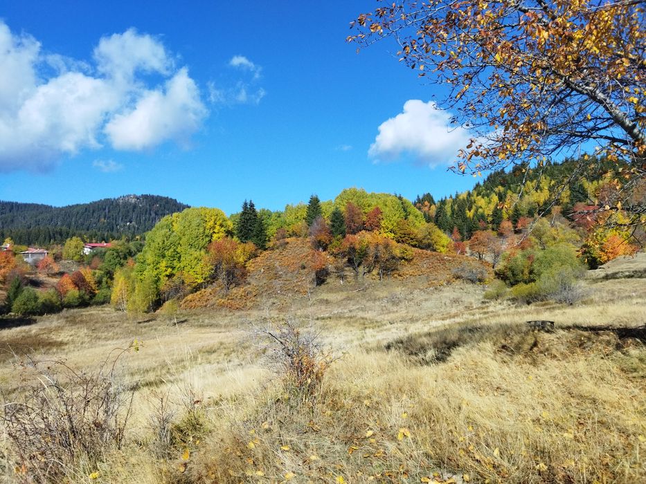 Продава се Парцел в Смолян, Езерово - 3136 кв.м за 35 €/кв.м - Снимка #10