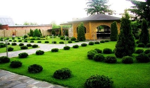 Озеленение автополив