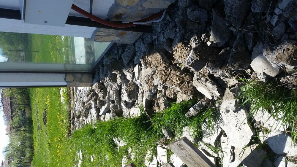 Кърти чисти извозва