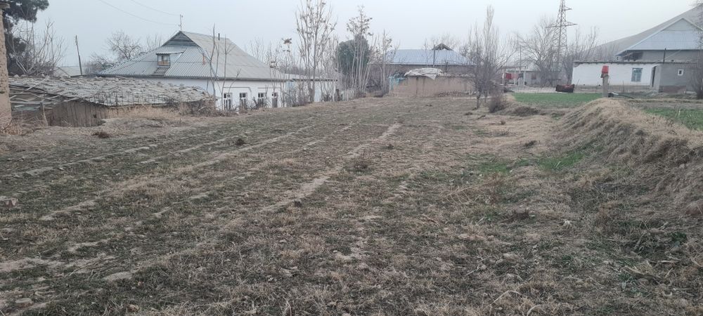 Огород сотилади  8 соток