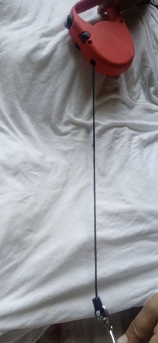 It sayr qilish uchun 3 metr arqon qatiq buĝilmaydi va yengil itga foyd