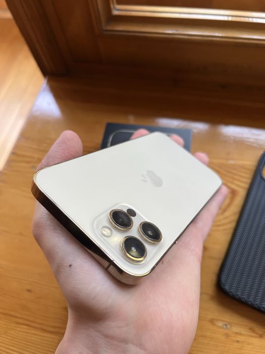 iPhone 12 Pro Max 256