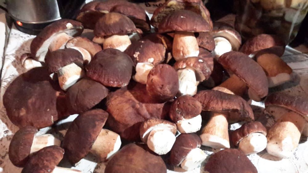 Грибы маринованные в ассортименте оптом