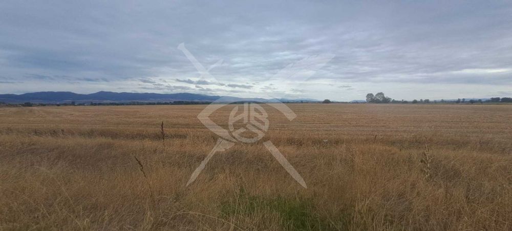 Парцел в кв. Челопечене № 11105