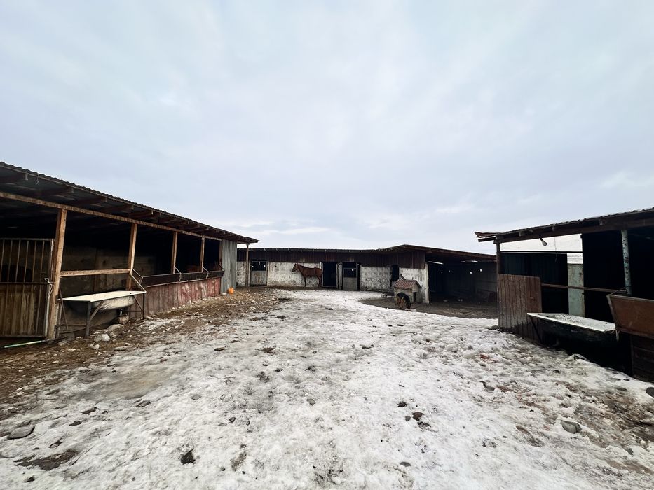 Продается Фазенда