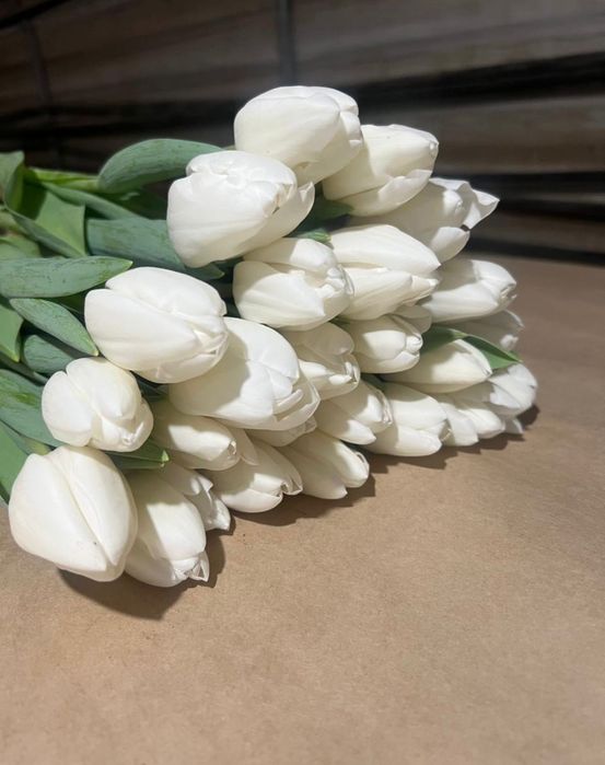 Голландские Тюльпаны!