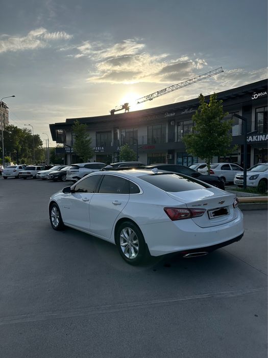 Malibu primer 2021 yil