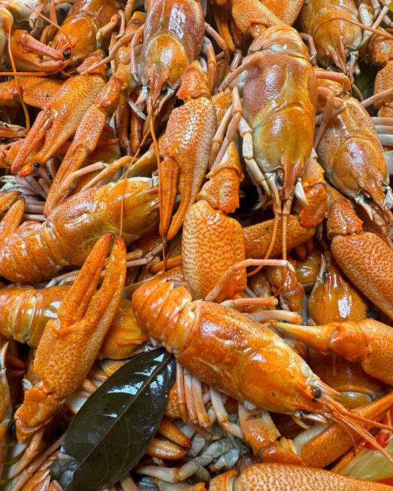 Отварные раки с доставкой на дом