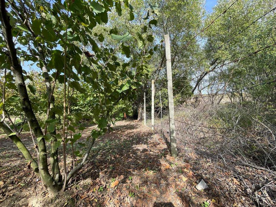 Продава се Земеделски имот в с. Драгоево, Област Шумен -  кв.м за 15300 €/дка - Снимка #3