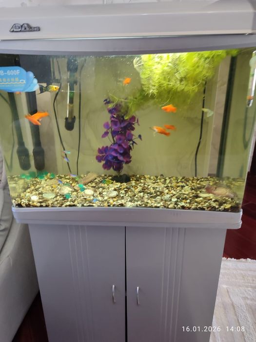 Продам аквариум с рыбками