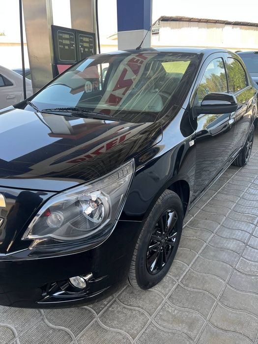 Cobalt midnight  2025