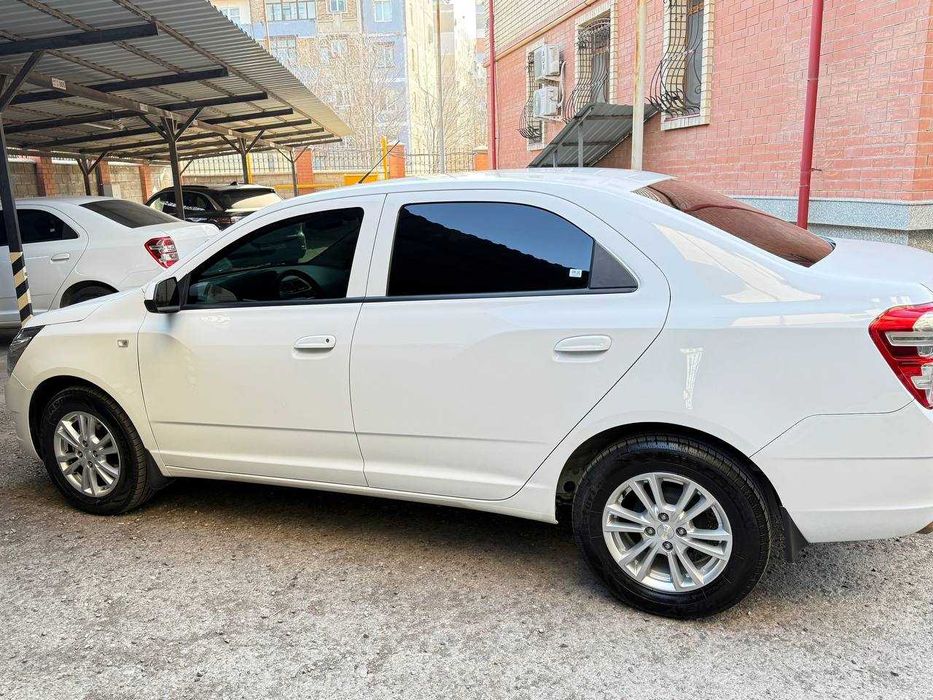 Коблт 2025 йил оқ ранг