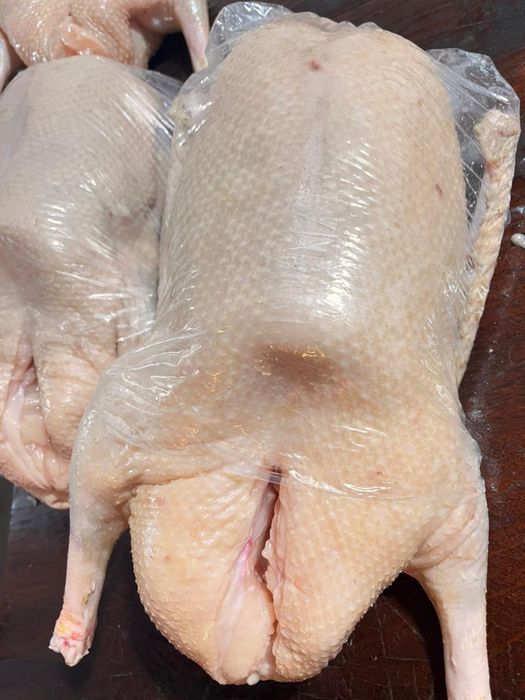 Продам мясо гуся
