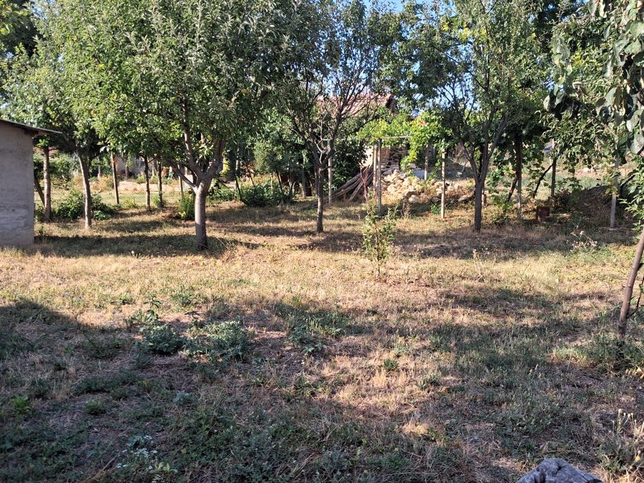 Продава се Парцел в с. Тодорово, Област Плевен - 500 кв.м за 41 €/кв.м - Снимка #2