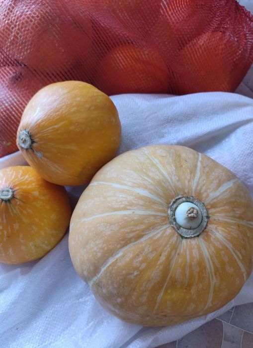Продам домашнюю тыкву, лечо, икра кабачковая, свекольная.