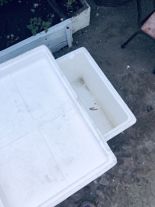 Продам термоса( пенопласовые коробки)