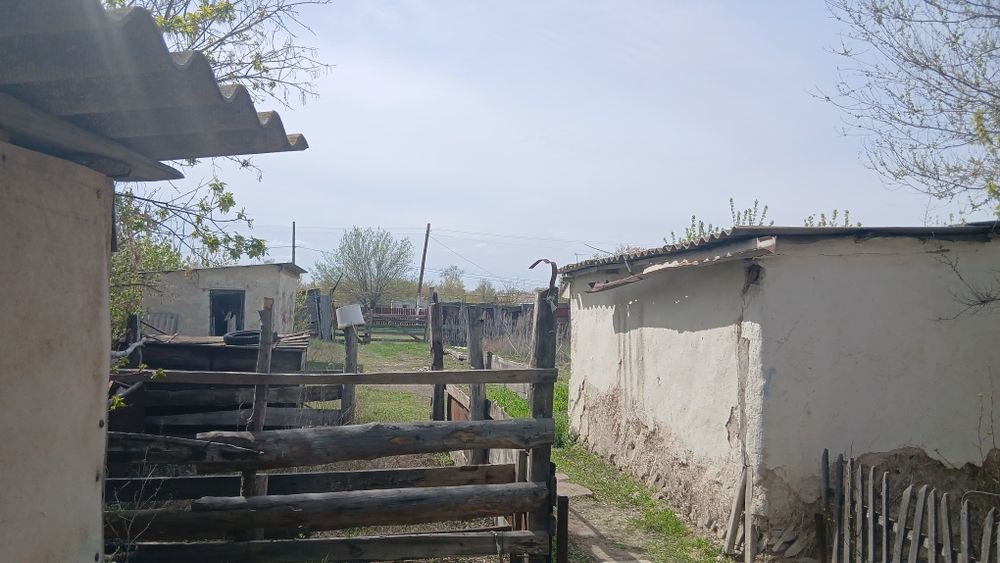 Продается дом Чингерлауский район п.Ащысай