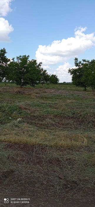 Косене  на трева и други градинарски  услуги