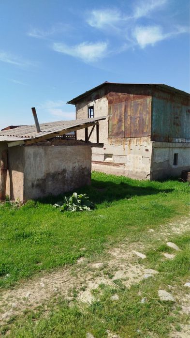 Dacha sotiladi 6 sotix