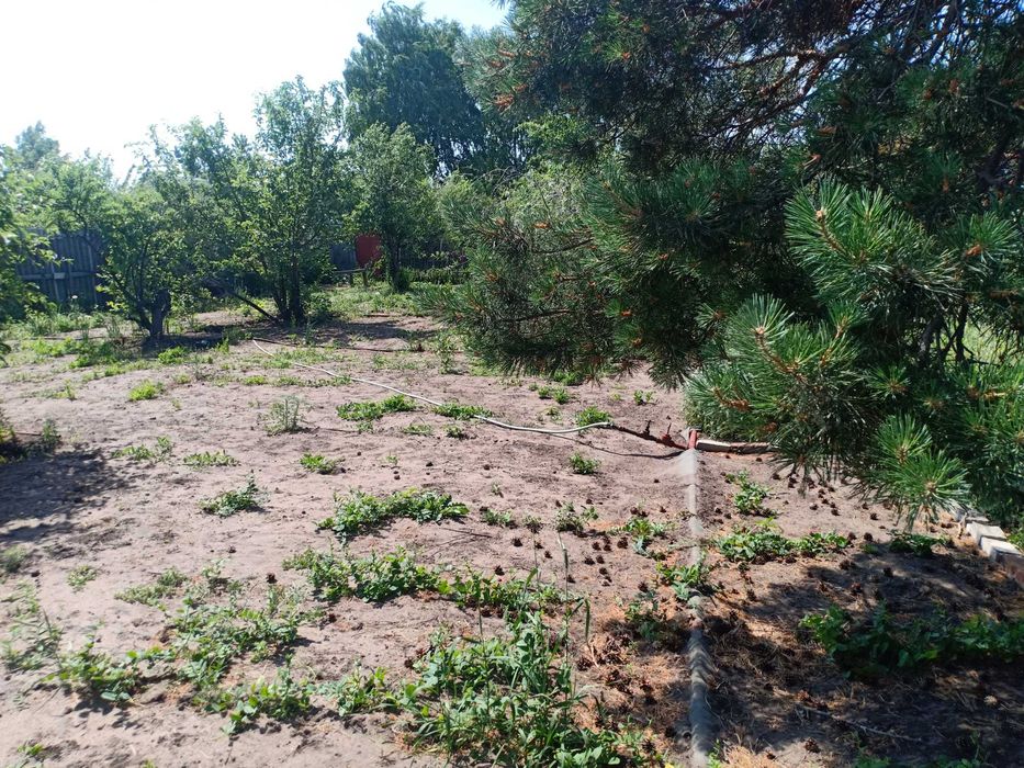 Продам дачу в СО "Автомобилист"