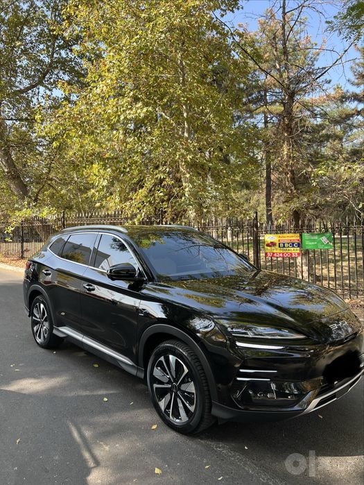 BYD chempion 2025 smart