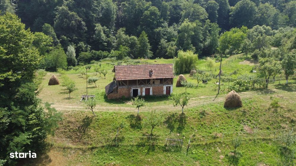 Teren de vânzare în comuna Cicănești, sat Bărăști, Judet Arges.