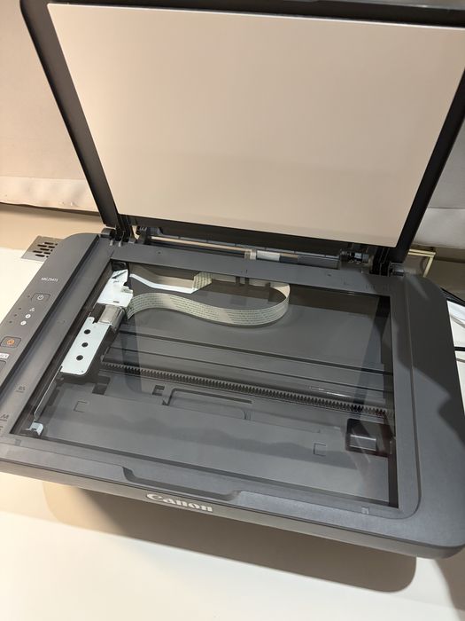 принтер (МФУ) Canon MG2541S